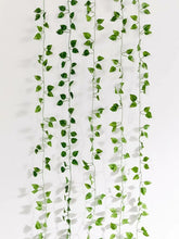 Load image into Gallery viewer, Green Vines